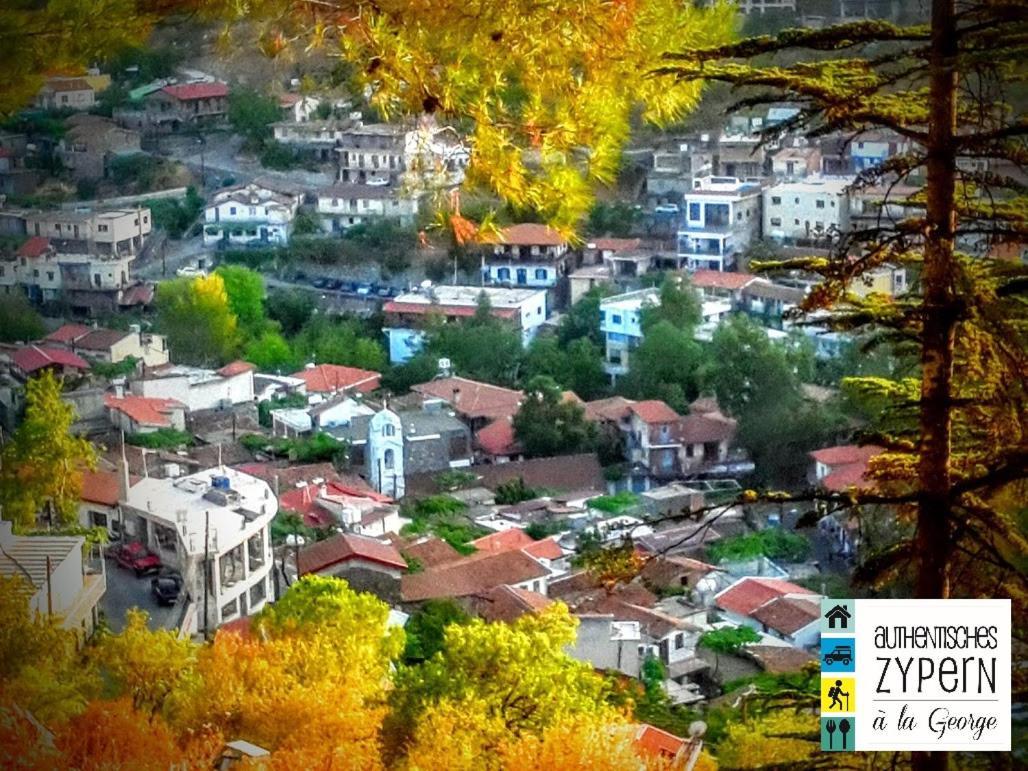 Isminis Petroktisto Holidays Stonehouse Palechori Екстер'єр фото