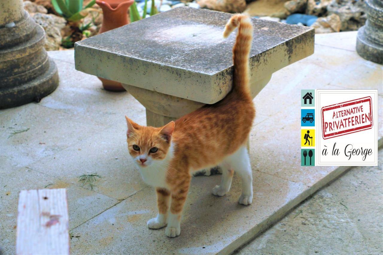 Isminis Petroktisto Holidays Stonehouse Palechori Екстер'єр фото